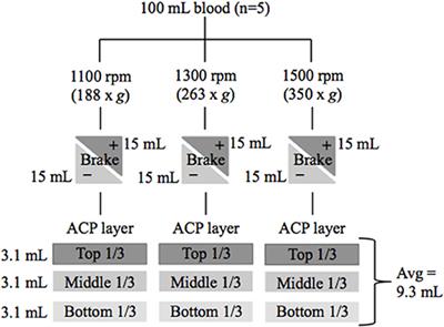 Platelet and Leukocyte Concentration in Equine Autologous Conditioned Plasma Are Inversely Distributed by Layer and Are Not Affected by Centrifugation Rate